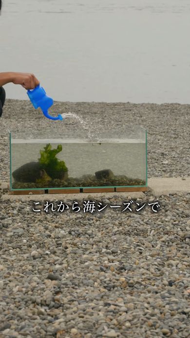 大阪湾で採取した砂利などを使いその場でタコ用の水槽を用意する
