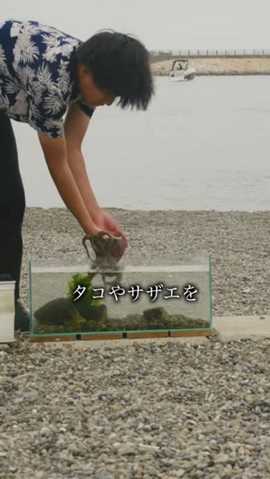 大阪湾で釣ったタコが入っている水槽