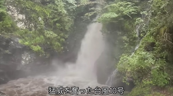 荒れ果てた水源を掃除したら