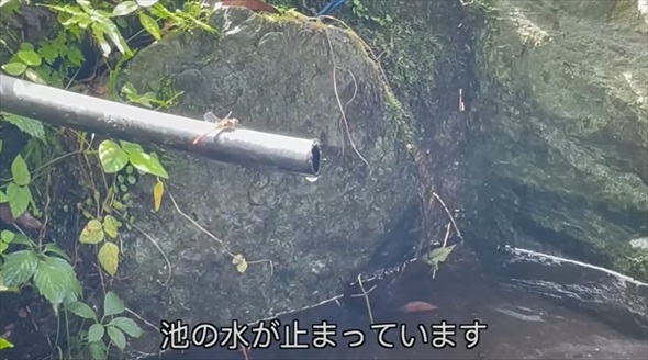 荒れ果てた水源を掃除したら