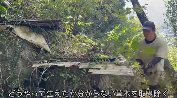 荒れ果てた水源を掃除したら