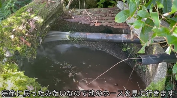 荒れ果てた水源を掃除したら