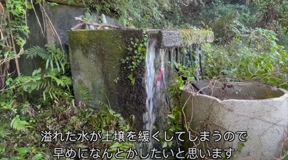 荒れ果てた水源を掃除したら