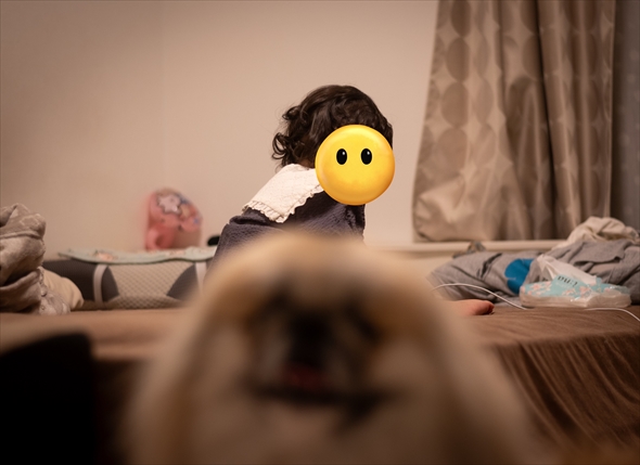 子どもを撮っているとフレームインしてくる愛犬がかわいい