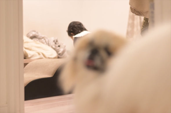 子どもを撮っているとフレームインしてくる愛犬がかわいい