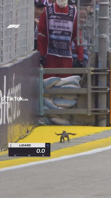 F1にトカゲ