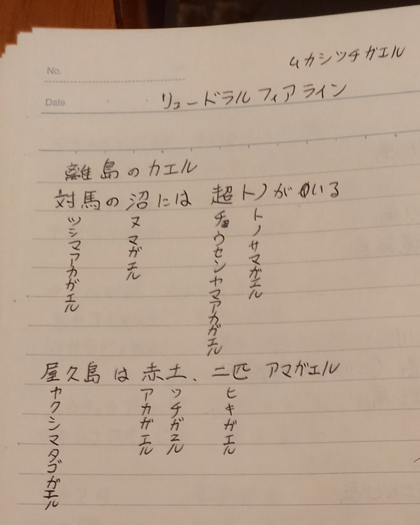 妻 生物分類技能検定 対策ノート 手書き イラスト カエル 牛