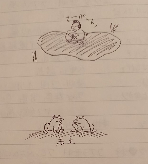 妻 生物分類技能検定 対策ノート 手書き イラスト カエル 牛