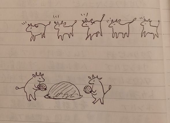 妻 生物分類技能検定 対策ノート 手書き イラスト カエル 牛