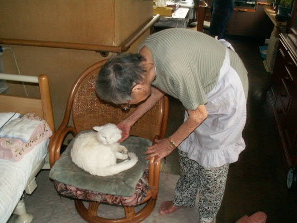 おばあさんと猫ちゃん