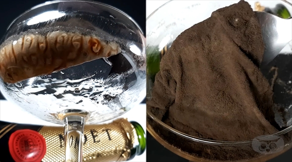 シャンパン　タイムラプス　腐敗