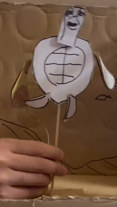 自宅タートルトークに現れたカメのクラッシュ