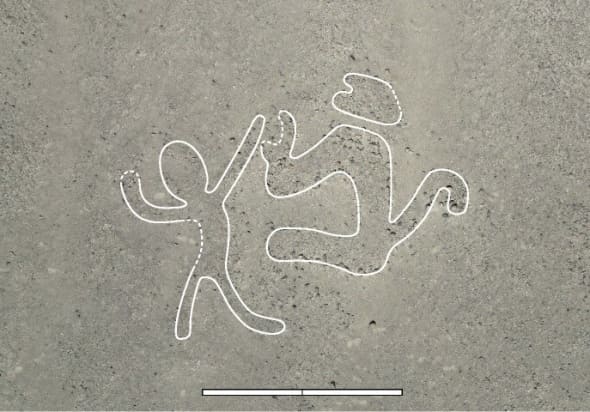 新たに発見された地上絵の一例