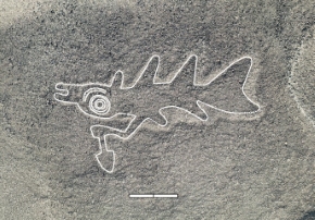 新たに発見された地上絵の一例