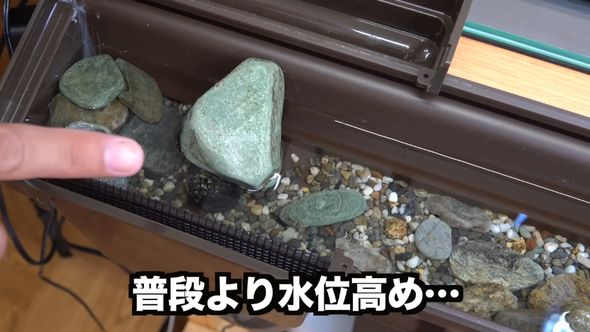 雨どいを使って室内に作った川の水位が普段より高い