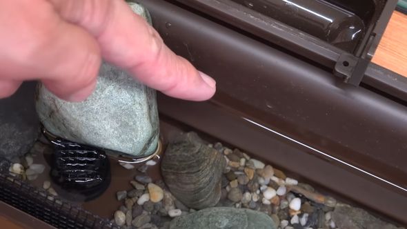 ネットを掃除したことで雨どい川の水位が下がった