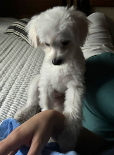 起こしにきたおこめくん