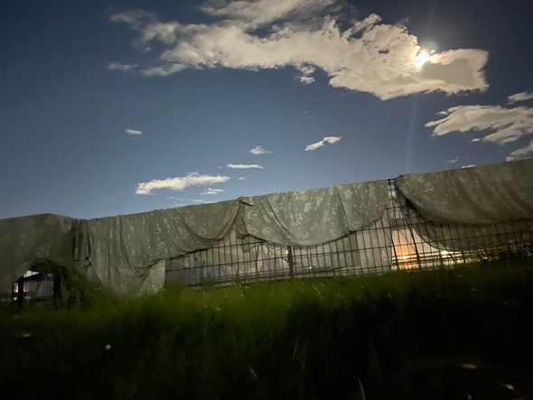 カーテン 洗ったら 色 汚れ 衝撃 中古物件 残置物