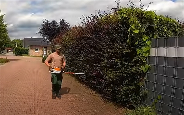 庭手入れビフォー1