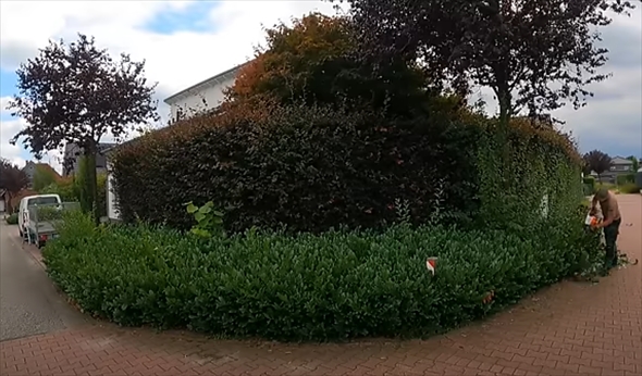 庭手入れビフォー2