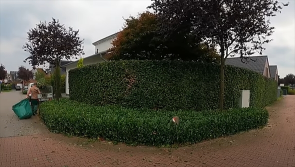 庭手入れアフター2