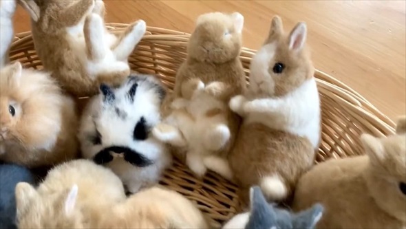 カゴにたくさんのウサギたちと思いきや実は