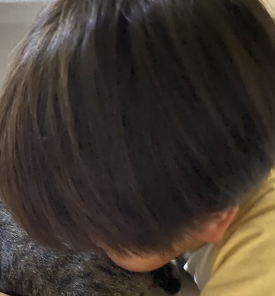 猫をたしなむ男の子