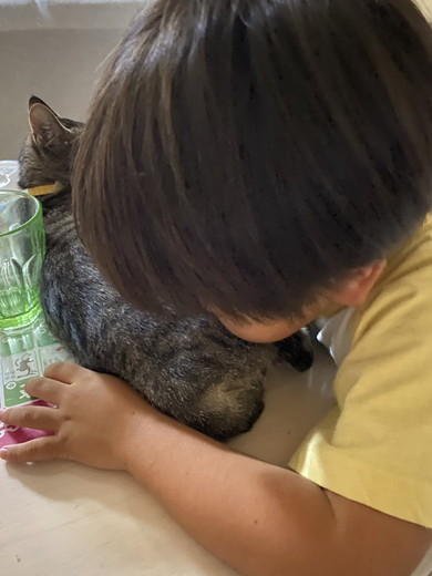 猫をたしなむ男の子