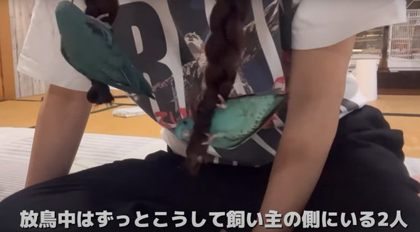 2羽一緒にお迎えした話