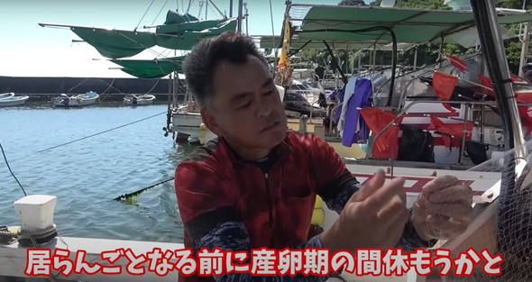 高級魚の大群に船から投網を打つ
