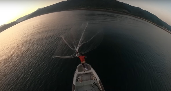 高級魚の大群に船から投網を打つ