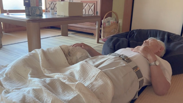 柴犬 あいちゃん おじいちゃん 大好き 寝顔をのぞく 添い寝 のんびり 平和