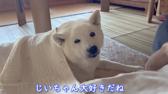おすすめ