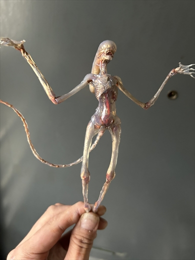 「エイリアン：コヴェナント」プロトモーフのフィギュア