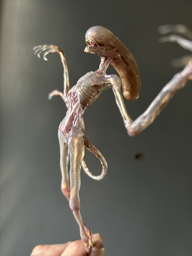 「エイリアン：コヴェナント」プロトモーフのフィギュア