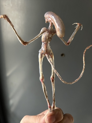 「エイリアン：コヴェナント」プロトモーフのフィギュア