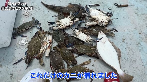 網にかかった魚とカニ