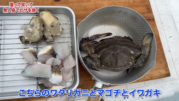 海鮮ピザの材料にするワタリガニとマゴチ、イワガキ