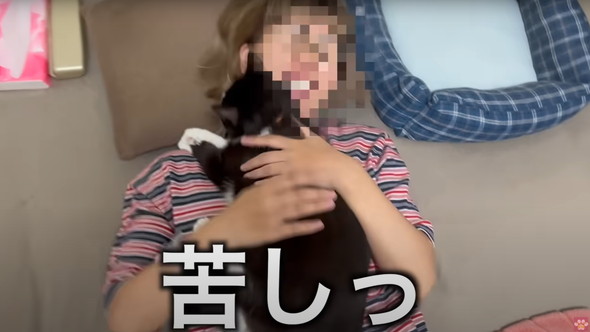 距離感バグってるネコ