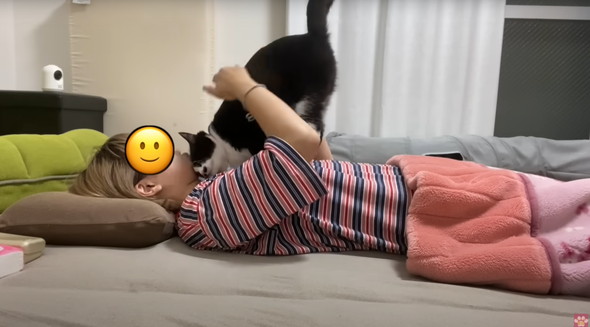 距離感バグってるネコ