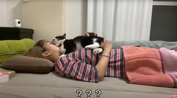 距離感バグってるネコ