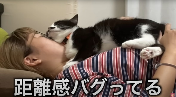 距離感バグってるネコ