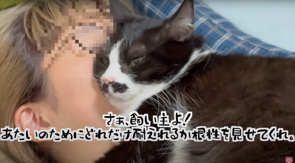 距離感バグってるネコ