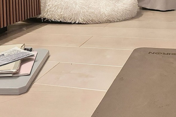 ワンコが乗っているクッション