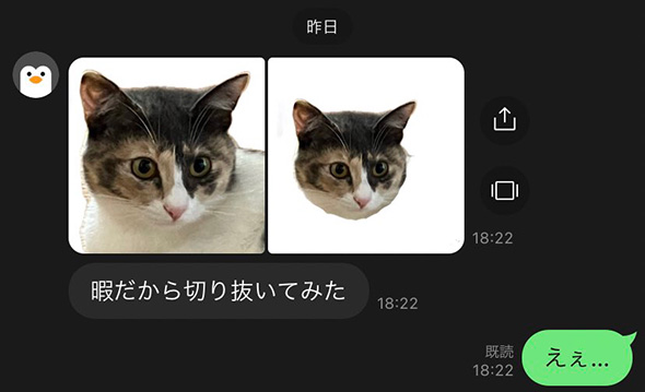 父親から送られてきた飼い猫の切り抜き画像