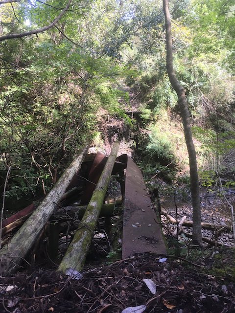 謎のヘリポート 冒険 山奥 千葉県