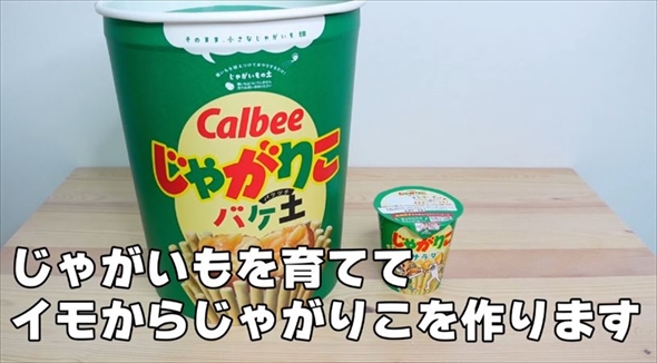 自作じゃがりこの完成までに100日かかった理由