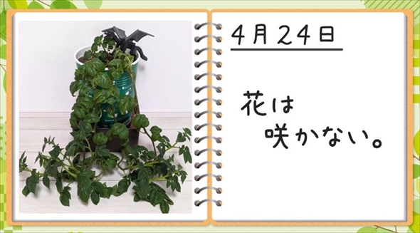 自作じゃがりこの完成までに100日かかった理由