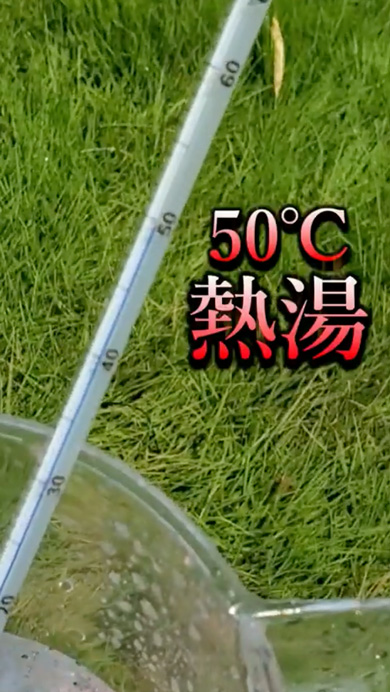 井戸水と水道水の温度の比較