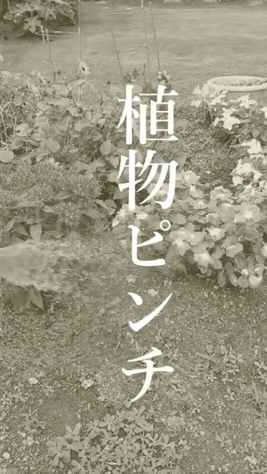 井戸水と水道水の温度の比較